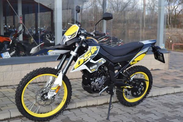 UM DSR EX 125 2023