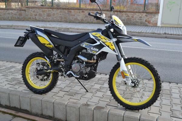 UM DSR EX 125 2023