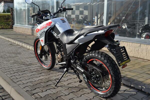 UM DSR Adventure TT 125 2024