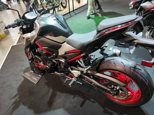 Kawasaki Z 900 2023