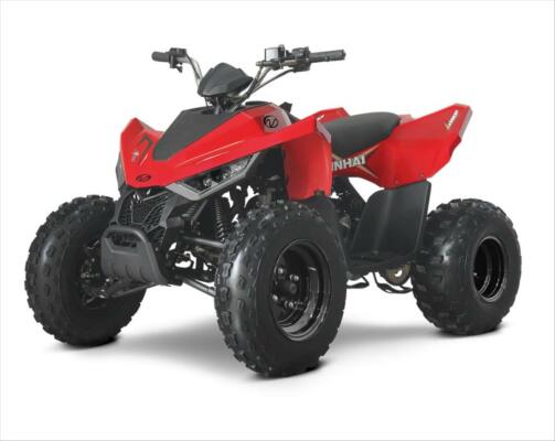 Linhai ATV 110