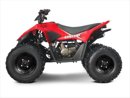 Linhai ATV 110