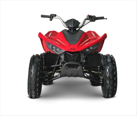 Linhai ATV 110