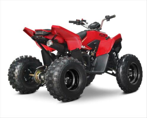 Linhai ATV 110