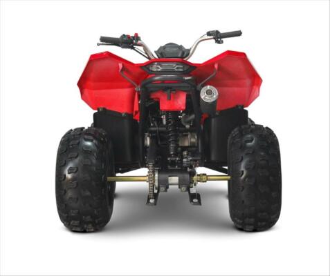 Linhai ATV 110