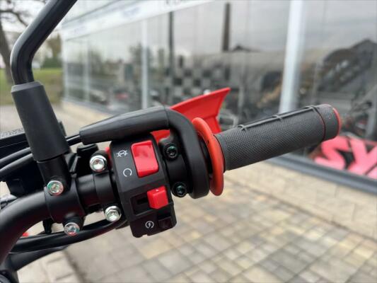 QJ Motor COV 125 X