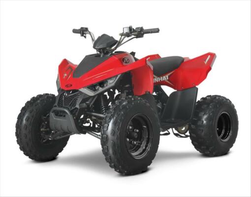 Linhai ATV 110
